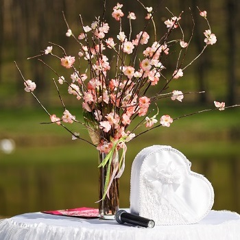 Beach / Outdoor Wedding